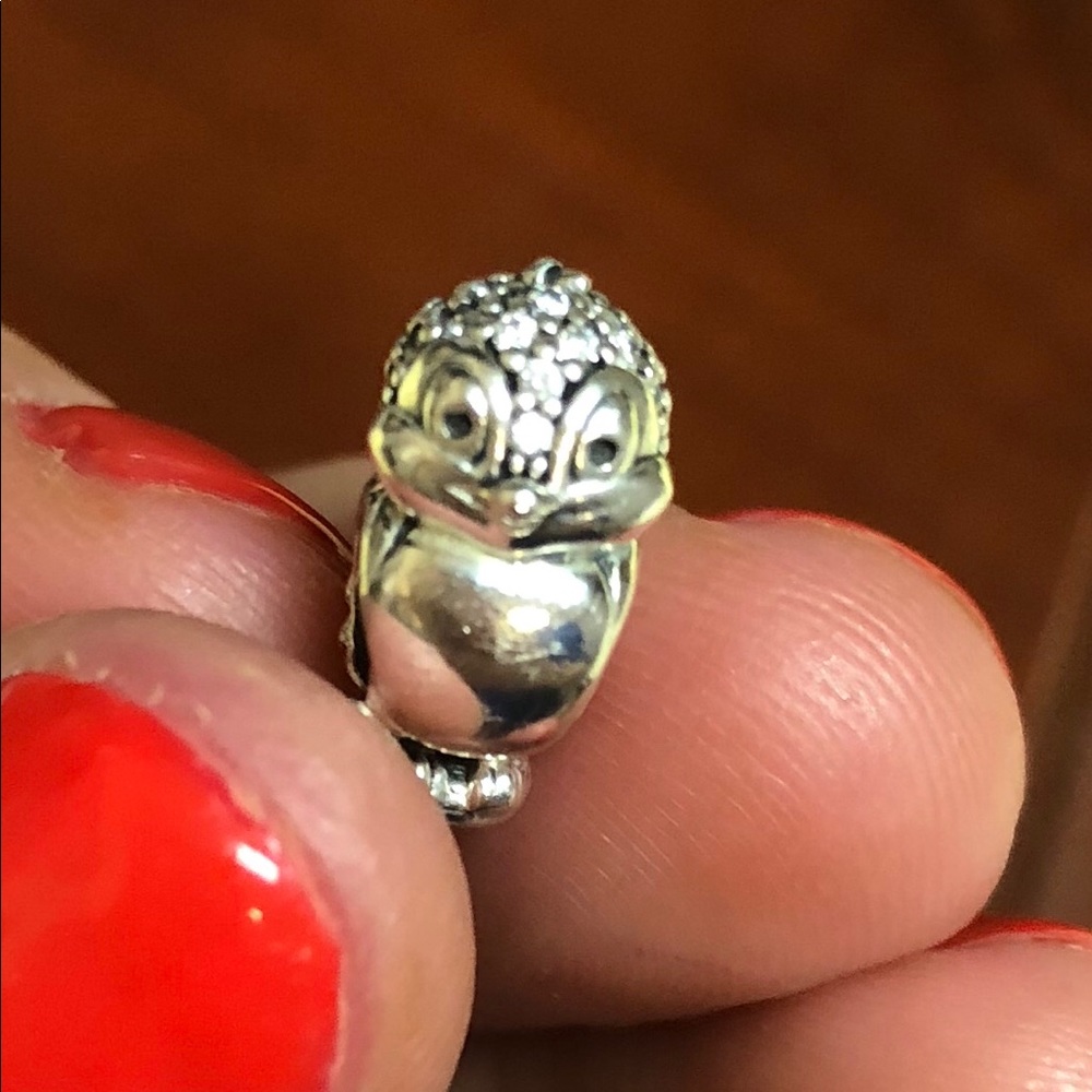 Authentic Pandora charm